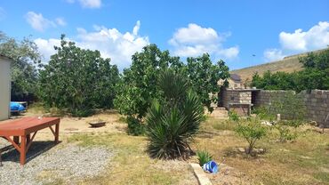 Bağ evlərinin satışı: Novxanı, 130 kv. m, 3 otaqlı, Hovuzsuz, İnternet, Telefon, İşıq — 7