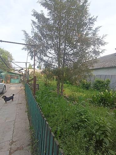 Продажа коттеджей и домов: 🏡 Продаётся Дом в Сокулуком районе в городе Шопоков на участке 10 — 5