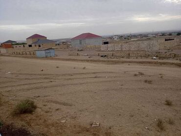 sarayda torpaq: Tikinti, Mülkiyyətçi, Kupça (Çıxarış)