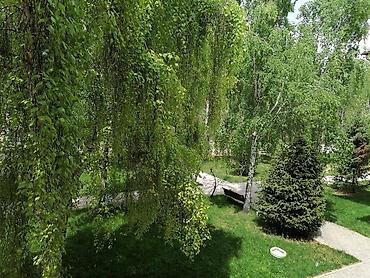 азия пелес: Аренда квартиры на Иссык-Куле, Asia Palace, Сары-Ой, 5 мест, Цена Целиком за жилье — 6