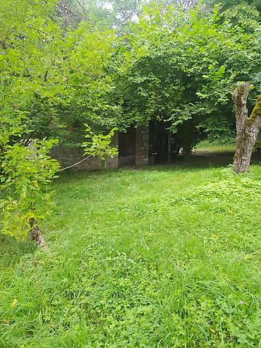 ticari daşınmaz əmlakın satışı: İsmayıllı rayonun Cülyan kəndi. Rayondan 300 m məsafədə, meşənin — 5