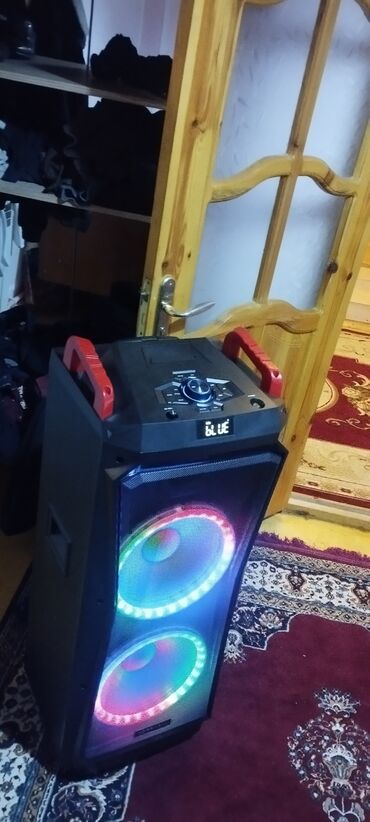 Dinamiklər və kolonkalar: Hoffmann portativ akustik sistemi - Güclü səs üçün iri ölçülü iki — 9