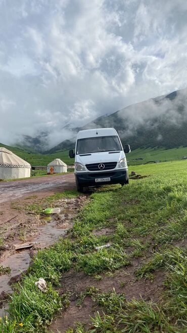 спринтер шлейф: Mercedes-Benz Спринтер: 2007 г., 2.9 л, Механика, Дизель, Бус