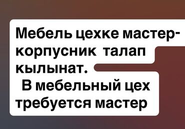 требуется мастер по ремонту бытовой техники: Талап кылынат Эмерекчи: Эмерек жасоо, 1-2-жылдык тажрыйба