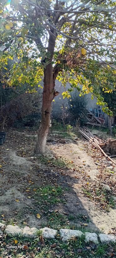 Həyət evləri və villaların satışı: 8 otaq, 450 kv. m, Kredit yoxdur, Orta təmir -da lalafo.az — 6 Həyət evləri və villaların satışı: 8 otaq, 450 kv. m, Kredit yoxdur, Orta təmir — 6