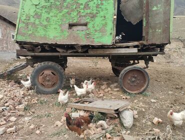 аренда под следующим выкупом: Продаю вагон, можно переделать под прицеп 
прошу 55 тыс сом