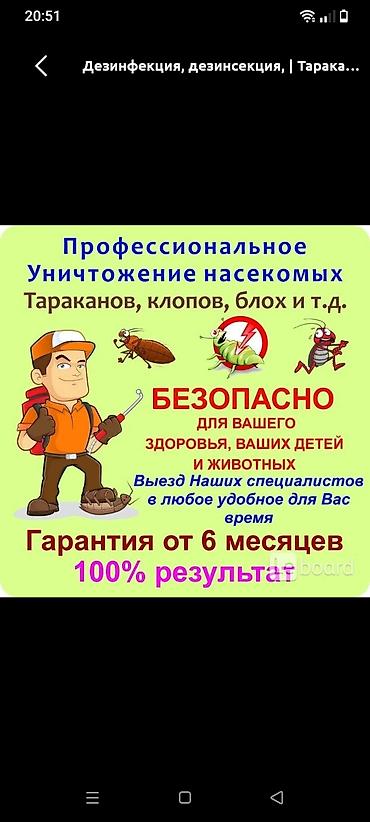 Профессиональная дезинсекция и дезинфекция помещений. Что делаем: -