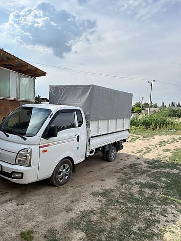 Легкий грузовик, Hyundai, Стандарт, 3 т, Новый