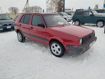 golf 2: Volkswagen Golf: 1991 г., 1.8 л, Механика, Бензин, Кроссовер