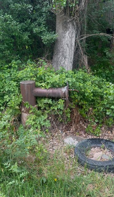 Сельхоз предприятия: Продаю Кошара, 100 соток, Действующий, Скважина, Холодная вода, Электричество — 8