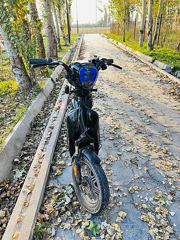 Электровелосипед-скутер Panda, городской формат - Электропривод