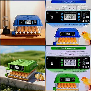 Зоотовары: Tam avtomatik inkubator / su və yem qabı daxil./Göy-1əd.yaşıl 1əd — 1