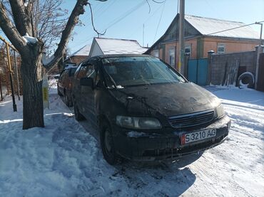 Honda: Honda Odyssey: 1995 г., 2.3 л, Автомат, Газ, Минивэн