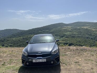 bmw 3 серия 335i: Kia Cerato: 2 л | 2019 г. Седан