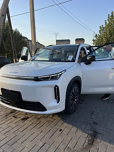 byd y: BYD : 2026 г., Электромобиль, Кроссовер — 1