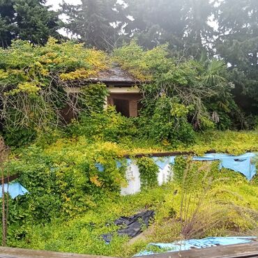 Həyət evləri və villaların satışı: 8 otaq, 1000 kv. m, Orta təmir — 17