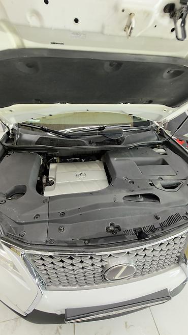Lexus: Lexus RX: 2009 г., 3.5 л, Бензин, Кроссовер — 15
