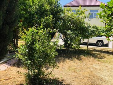 Günlük kirayə evlər: 120 kv. m, 5 otaqlı, Artezian quyusu, Su, Qaz — 5