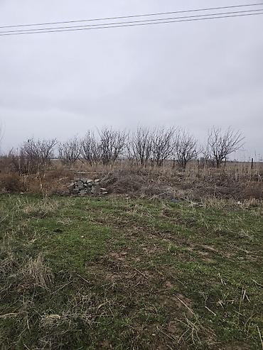 Продажа участков: 4 соток, Для строительства, Красная книга, Договор купли-продажи — 1