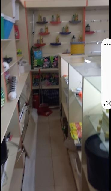 Торговля: Продаю магазин (обмен не предлогать, рассрочки нет) полностью — 1