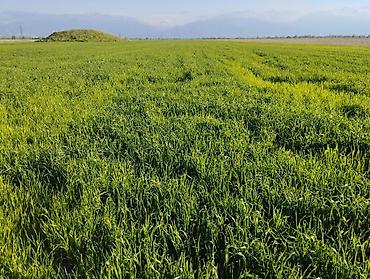 Продажа участков: 400 соток — 9