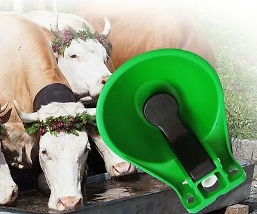 goran agro: Yem qabı, Su üçün, Heyvanlar üçün, Ödənişli çatdırılma, Rayonlara çatdırılma, Ünvandan götürmə — 4