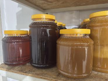 Мёд: Оптом Натуральный горный мёд 🌿 Без добавок и сахара. Сильный аромат — 21