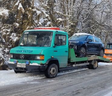 сапоги зимние платформа: Mercedes-Benz : 1994 г., 4.2 л, Механика, Дизель