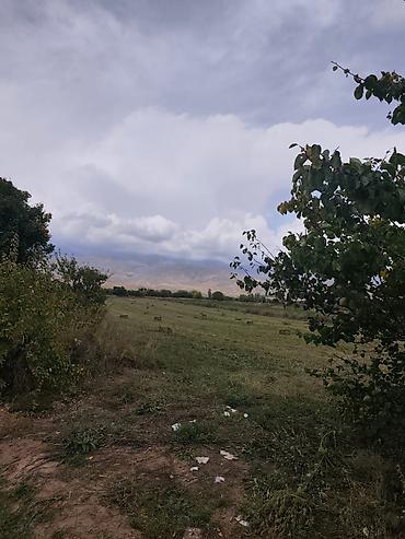 93 соток, Для бизнеса at lalafo.kg 93 соток, Для бизнеса