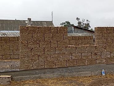 Другие услуги: Соком Уй согом — 8