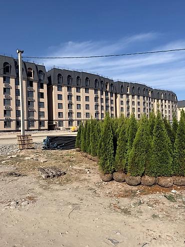 capital holding: 3 комнаты, 73 м², Элитка, 6 этаж, ПСО (под самоотделку) — 3