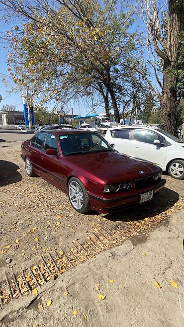 BMW: BMW 525: 1991 г., 2.5 л, Автомат, Бензин, Седан — 13