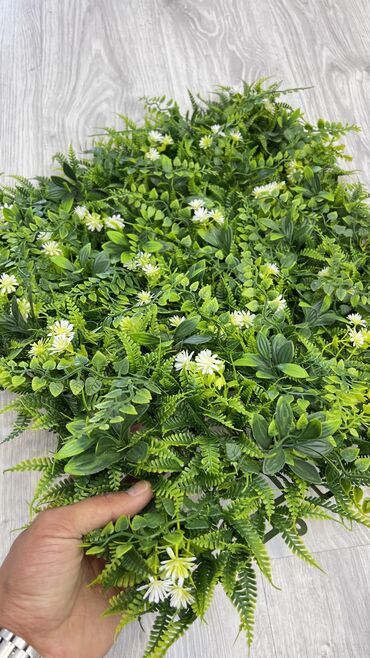 Toxumlar: 9 azn baslayan qiymetler Suni qazonlarin topdan satisi Suni qazon — 30