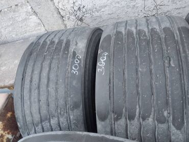 шина гурзовой: Продаю грузовые шины б/у и прицепные диски
