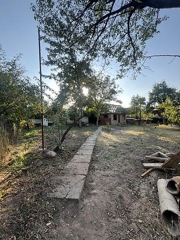 ысык куле: 5 соток, Курулуш, Сатып алуу-сатуу келишими, Техпаспорт — 1