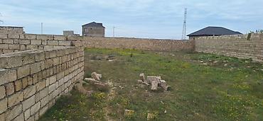 bartee: Tikinti — 2