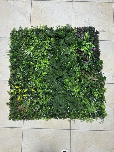 декор для стен: Модульные панели «зеленая стена» с искусственной листвой. Цена 3700