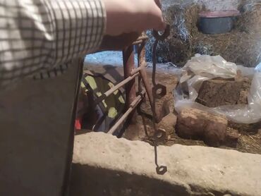 Kollektorlar: Məhsul: Avtomobil ehtiyat hissələri dəsti Təsvir: - Qapı daxili — 54