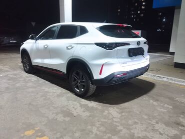 Другие детали кузова: Свежий Состояние как новый Год 2025 Кроссовер белого цвета в — 5