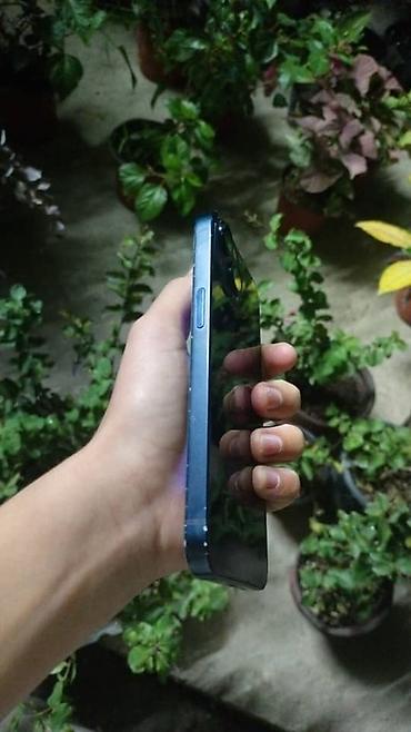кел кел: IPhone 13, Колдонулган, 128 ГБ, Көк, Коргоочу айнек, Каптама, 81 % — 2