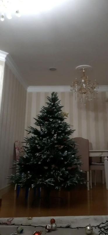 agac satilir: 🎄 Süni Yeni İl yolkası satılır! 🎄 Hündürlüyü təxminən 170 sm-dir — 2