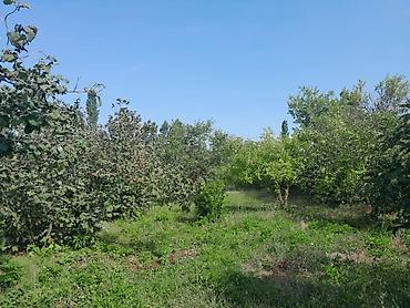 yasamalda tecili satilan evler: 4 otaqlı, 130 kv. m, Kredit yoxdur, Orta təmir — 3