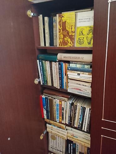 языки: Большая домашняя библиотека — подборка книг на русском языке — 4