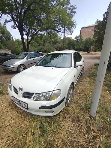 dodge charger: Nissan Almera: 2001 г., 1.8 л, Автомат, Бензин, Седан — 5