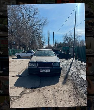 Mercedes-Benz: Mercedes-Benz S-Class: 1992 г., 4.2 л, Автомат, Бензин, Седан — 10