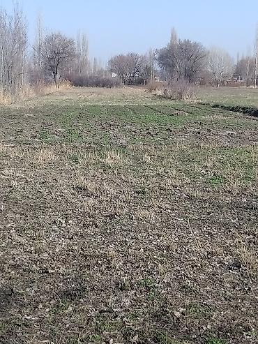 Продажа коттеджей и домов: Срочно продаю дом,рядом городом Кара-Балта.Село Вознесеновка улица — 5