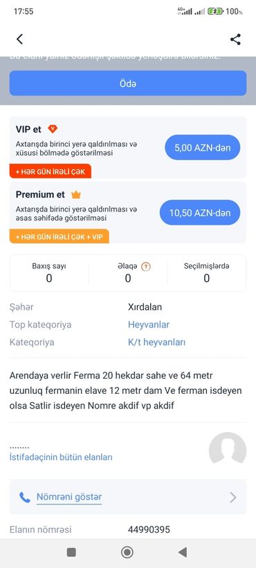 yerli inekler: Самец, лет: >10