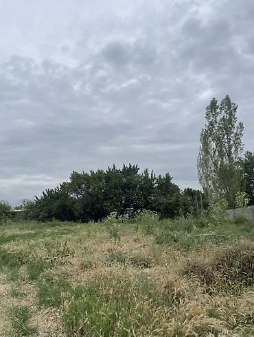 15: 10 соток, Для строительства, Красная книга — 2