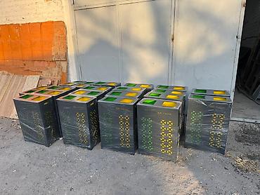 Мусорные баки, контейнеры: Двухсекционные урны/контейнеры для раздельного сбора отходов - — 2