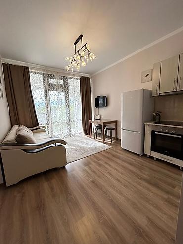 studio apartment: Аренда квартиры на Иссык-Куле, Радуга, Сары-Ой, 4 места, Цена Целиком за жилье — 2